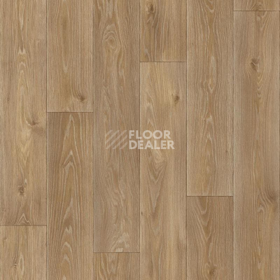 Линолеум Tarkett Комфорт Spenser 4 фото 1 | FLOORDEALER