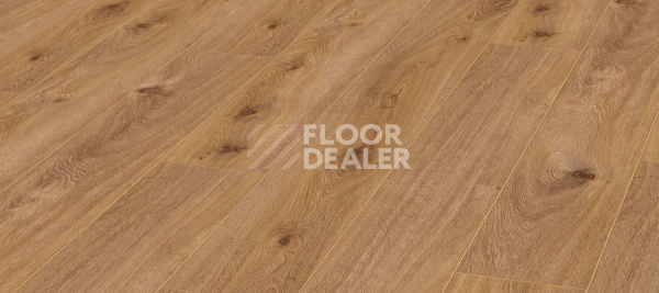Ламинат Kronotex Exquisit 8мм d4169 Дуб Престиж Светлый фото 1 | FLOORDEALER