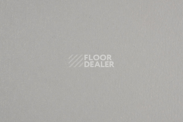 Линолеум Forbo Marmoleum Solid Walton 171-17135 cement фото 1 | FLOORDEALER