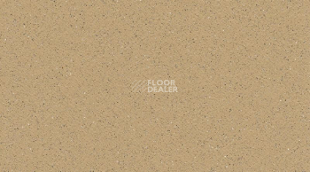 Линолеум Gerflor Tarasafe Plus 7302_Sahara фото 1 | FLOORDEALER