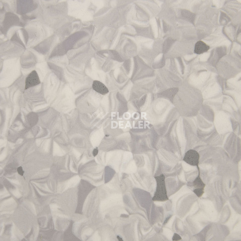 Tarkett Primo Plus 316 фото 2 | FLOORDEALER