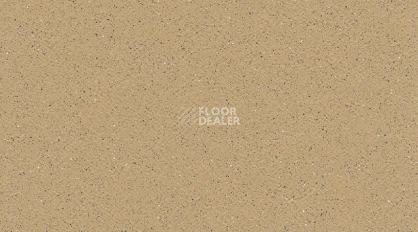 Линолеум Gerflor Tarasafe Plus 7302_Sahara фото 1 | FLOORDEALER