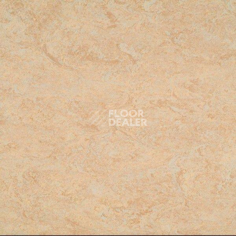 Линолеум Gerflor Marmorette DLW 2.5mm 121-040 фото 1 | FLOORDEALER
