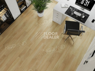 Norland Elegant Strong 12мм Дуб Тасмания LF302-04 фото 2 | FLOORDEALER