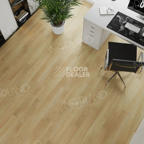 Norland Elegant Strong 12мм Дуб Тасмания LF302-04 фото 2 | FLOORDEALER