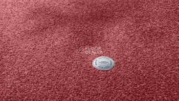 Ковролин Vorwerk Superior 1064/Lyrica Vorwerk 1n38 фото 1 | FLOORDEALER