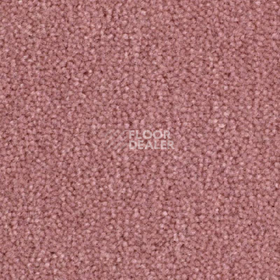Ковролин Balsan Majestic 525 фото 1 | FLOORDEALER