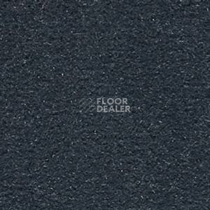 Ковролин Infloor Cosmos 551 фото 1 | FLOORDEALER