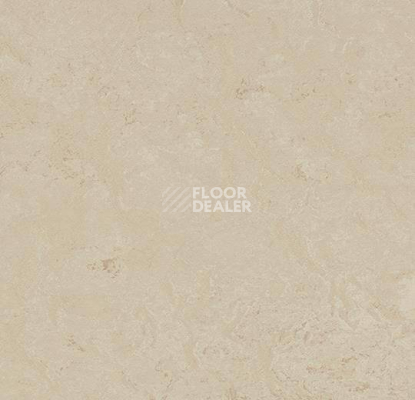 Кварцвиниловые полы Forbo Marmoleum Modular Shade 3711 фото 1 | FLOORDEALER