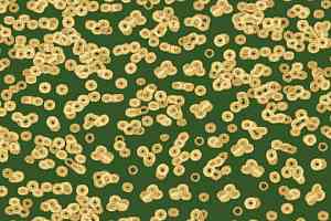 Ковролин Forbo Flotex Sottsass Bacteria 990502 фото  | FLOORDEALER