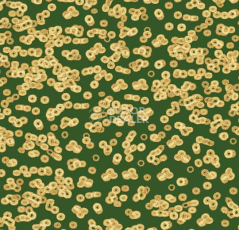 Ковролин Forbo Flotex Sottsass Bacteria 990502 фото 1 | FLOORDEALER