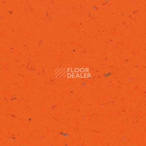 Кварцвиниловые полы Forbo Allura Colour C68031 фото 1 | FLOORDEALER