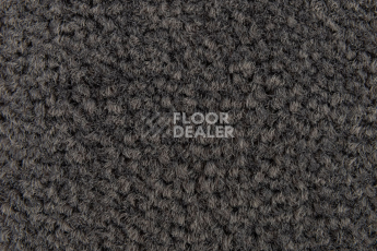 Balsan Les Best 992 фото 2 | FLOORDEALER