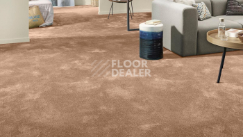 Vorwerk Superior 1064/Lyrica Vorwerk 2f38 фото 2 | FLOORDEALER