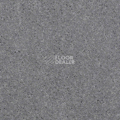 Ковролин Shaw Design Texture Platinum 541 фото 1 | FLOORDEALER