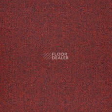 Ковровая плитка Modulyss Alpha 340 фото 1 | FLOORDEALER