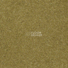 Ковролин Shaw Design Texture Platinum 322 фото 1 | FLOORDEALER