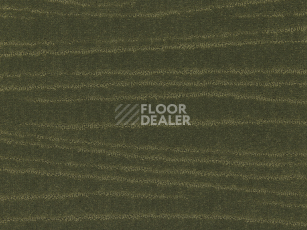 Ковролин Lano Carve Linea 593 Moss 3 фото 1 | FLOORDEALER