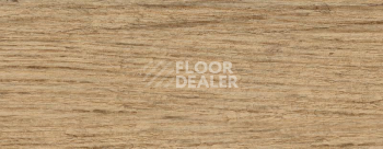 Плинтус Dollken EP 60/13 2518 фото 2 | FLOORDEALER