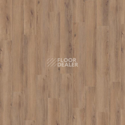 Ламинат Kronotex Robusto 12мм d80622 Дуб норфолк бронзовый фото 3 | FLOORDEALER