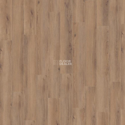 Ламинат Kronotex Robusto 12мм d80622 Дуб норфолк бронзовый фото 3 | FLOORDEALER