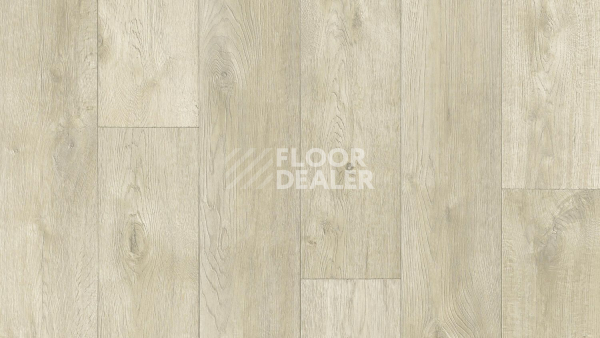 Линолеум Tarkett Philosophy EVENT 4 фото 1 | FLOORDEALER