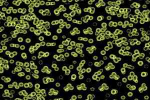 Ковролин Forbo Flotex Sottsass Bacteria 990103 фото  | FLOORDEALER