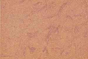 Керамогранит Estima Trend tr 08 фото  | FLOORDEALER
