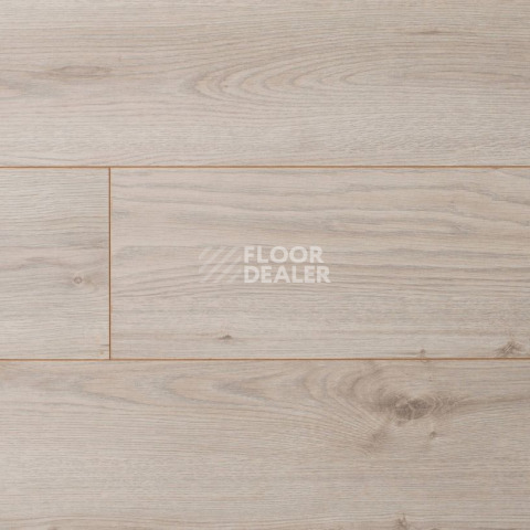 My Step Mega 8 MS 368 Дуб Каир фото 2 | FLOORDEALER
