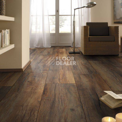 Kronotex Exquisit Plus d3570 Дуб Портовый фото 2 | FLOORDEALER