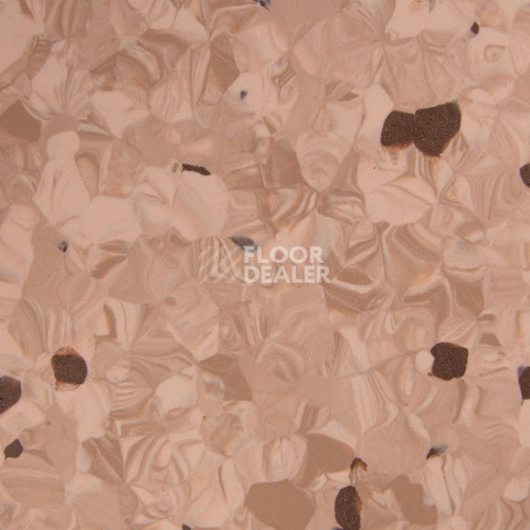 Tarkett Primo Plus 307 фото 2 | FLOORDEALER