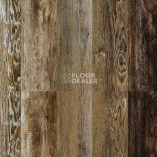 Relux Classic 5мм SCL 1355 v4 Дуб Loft коньяк фото 2 | FLOORDEALER