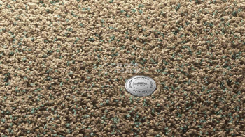 Ковролин Vorwerk Superior 1041 Vorwerk 8j894 фото 1 | FLOORDEALER