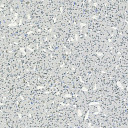Линолеум Grabo EcoSafe 1204_663_20_279  | FLOORDEALER