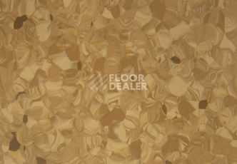 Tarkett Primo Plus 303 фото 2 | FLOORDEALER