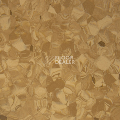 Tarkett Primo Plus 303 фото 2 | FLOORDEALER