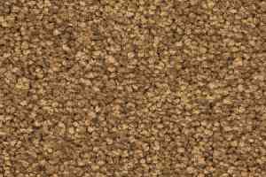 Ковролин Balsan First Class 370 фото  | FLOORDEALER