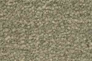 Ковролин Emphatic Beaulieu of America 56341 фото  | FLOORDEALER