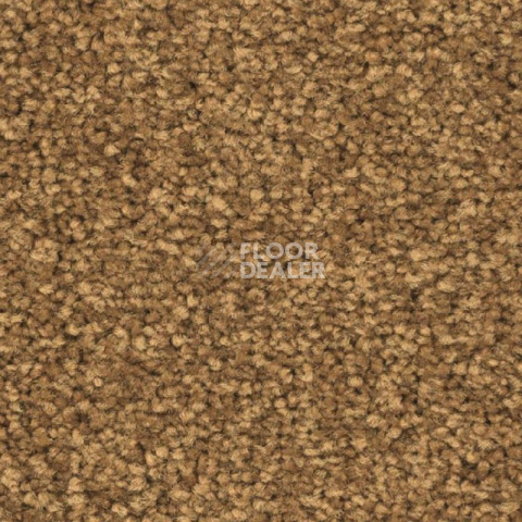 Ковролин Balsan First Class 370 фото 1 | FLOORDEALER