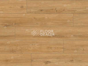 Classen Arteo 8 M 62752 Дуб Хамра фото 2 | FLOORDEALER