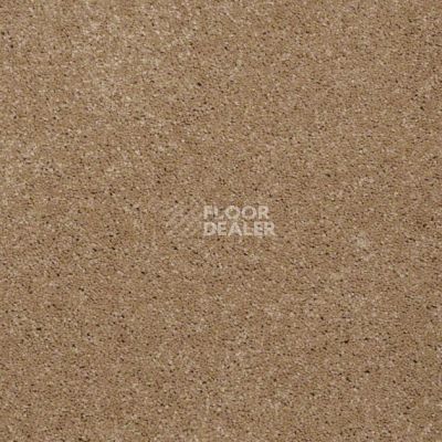 Ковролин Shaw Design Texture Platinum 703 фото 1 | FLOORDEALER