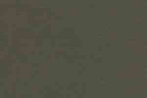 Линолеум Forbo Marmoleum Solid Walton 3376 peat фото  | FLOORDEALER