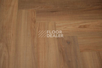 Evofloor Parquet Glue 2.5мм Rodsher (Родшер) фото 5 | FLOORDEALER