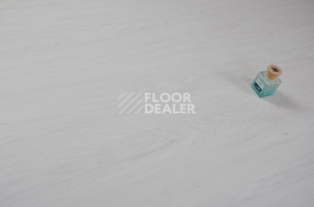 Evofloor Optima Click 4.2мм Дуб Арктический фото 3 | FLOORDEALER