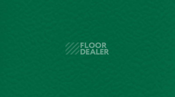 Линолеум Gerflor Taraflex Performance Uni 6557_Forest фото 1 | FLOORDEALER