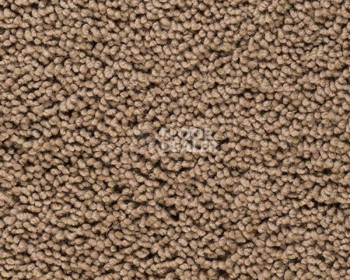 Ковролин Best Wool Pure Palace Lux 144 фото 1 | FLOORDEALER