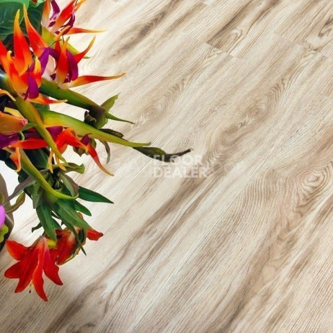 Alpine Floor Real Wood Клен Канадский ЕСО 2-8 фото 2 | FLOORDEALER