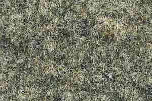 Ковролин Finett Select 1604 фото  | FLOORDEALER