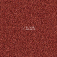Ковролин Balsan Majestic 547 фото 1 | FLOORDEALER