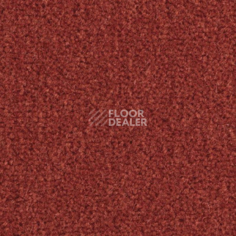 Ковролин Balsan Majestic 547 фото 1 | FLOORDEALER